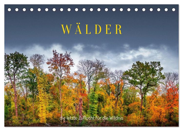 Produktbild: W&auml;lder: die letzte Zuflucht f&uuml;r die Wildnis (Tischkalender 2026 DIN A5 quer), CALVENDO Monatskalender