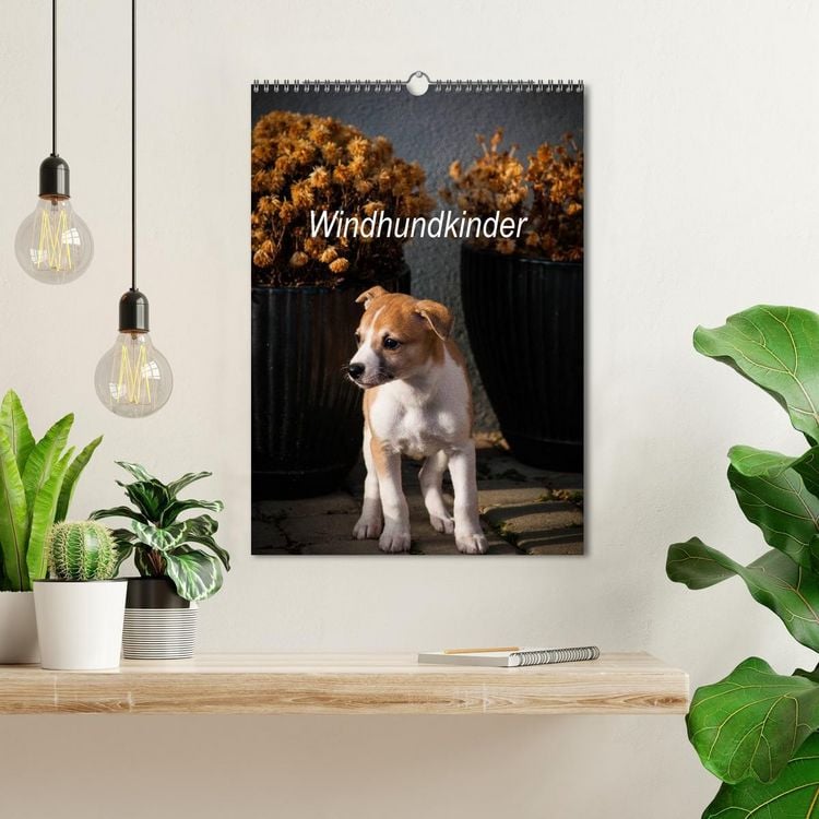 Produktbild: Windhundkinder (Wandkalender 2026 DIN A3 hoch), CALVENDO Monatskalender