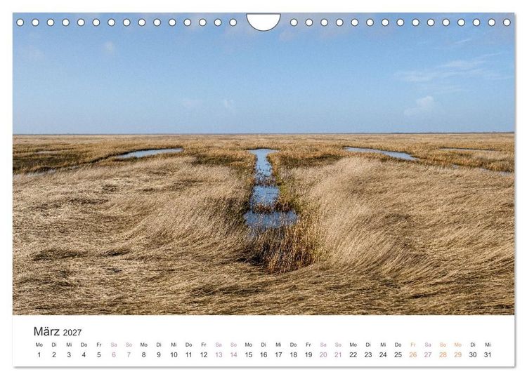 Produktbild: Hamburger Hallig - Der Weg ist das Ziel (Wandkalender 2027 DIN A4 quer), CALVENDO Monatskalender