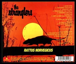 Produktbild: Rattus Norvegicus