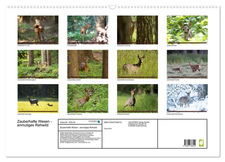 Produktbild: Zauberhafte Wesen - anmutiges Rehwild (Wandkalender 2026 DIN A2 quer), CALVENDO Monatskalender