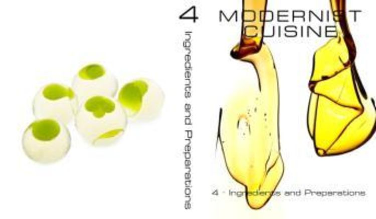 Modernist Cuisine. Die Revolution der Kochkunst
