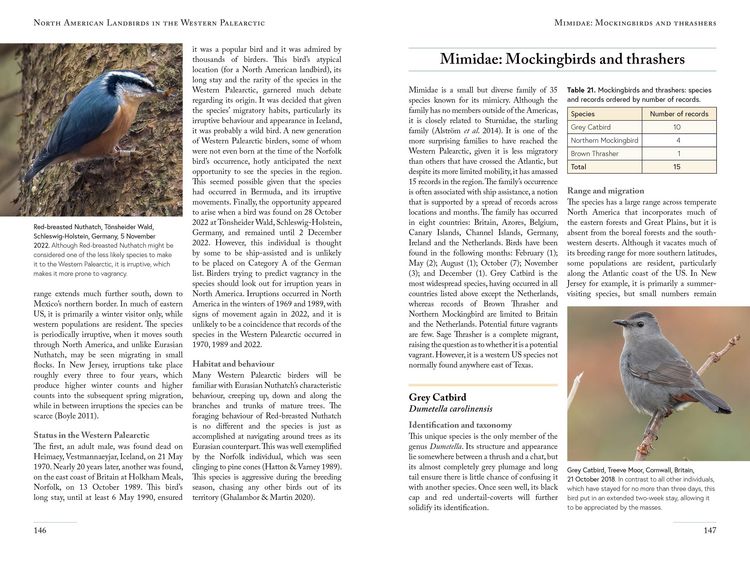 Produktbild: North American Landbirds in the Western Palearctic