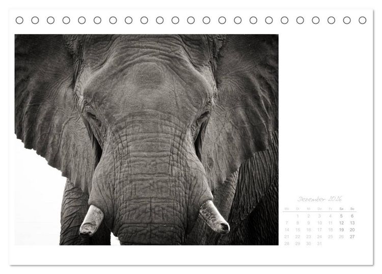 Produktbild: Elefanten in Etosha (Tischkalender 2026 DIN A5 quer), CALVENDO Monatskalender