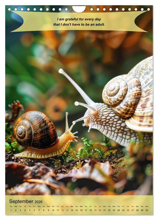 Produktbild: A year of greatfullness with funny animals (Wall Calendar 2026 DIN A4 portrait), CALVENDO 12 Month Wall Calendar