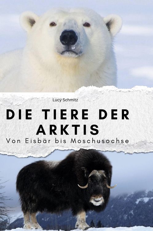 Produktbild: Die Tiere der Arktis