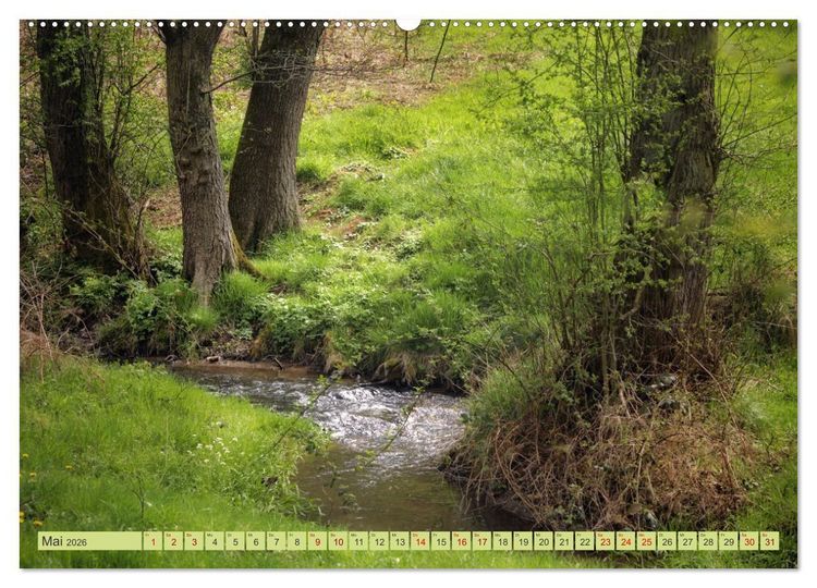 Produktbild: Alles im gr&uuml;nen Bereich (Wandkalender 2026 DIN A2 quer), CALVENDO Monatskalender