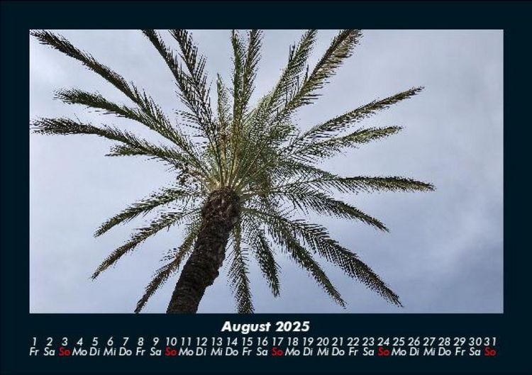 Produktbild: Palmentraum 2025 Fotokalender DIN A5