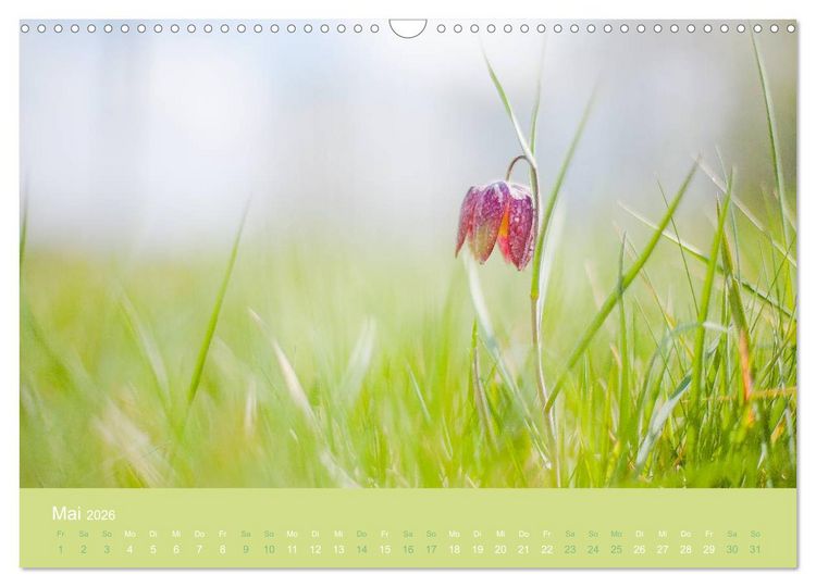 Produktbild: Zeitenwandel - Ein Jahr in der Natur (Wandkalender 2026 DIN A3 quer), CALVENDO Monatskalender