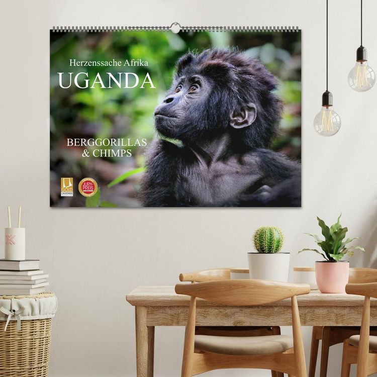 Produktbild: UGANDA - Berggorillas & Chimps (Wandkalender 2026 DIN A2 quer), CALVENDO Monatskalender