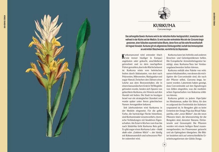 Produktbild: Der Garten des Apothekers