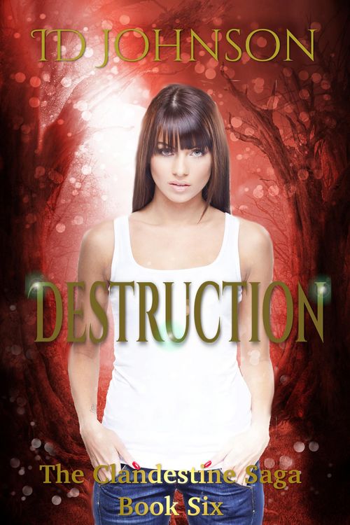 Produktbild: Destruction: The Clandestine Saga Book 6