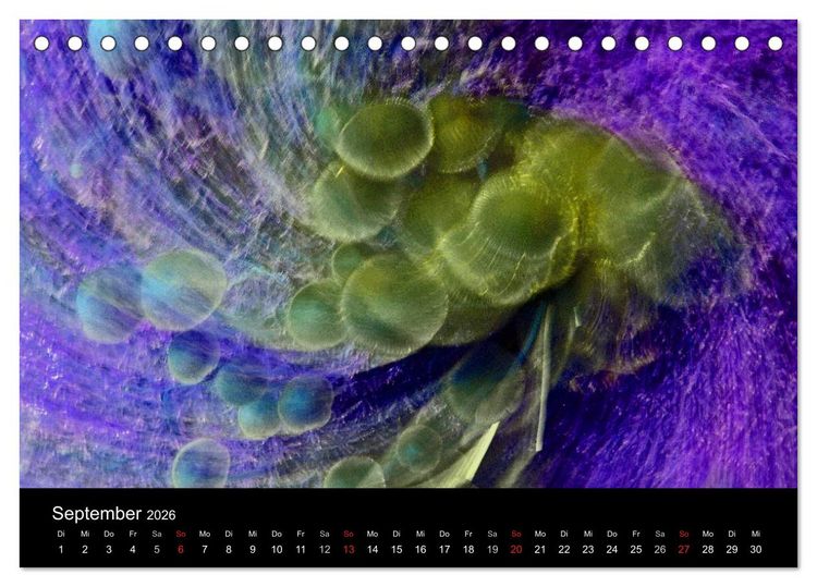 Produktbild: Magischer Wald (Tischkalender 2026 DIN A5 quer), CALVENDO Monatskalender