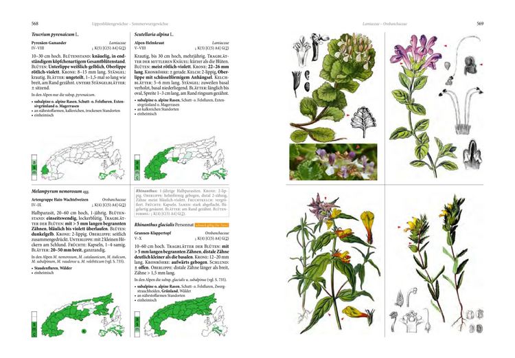 Produktbild: Alpenflora