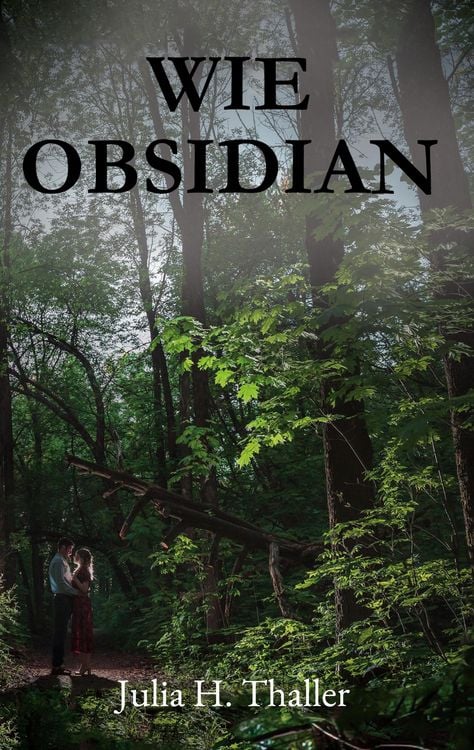 Produktbild: Wie Obsidian
