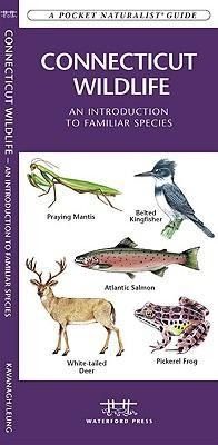 Produktbild: Connecticut Wildlife