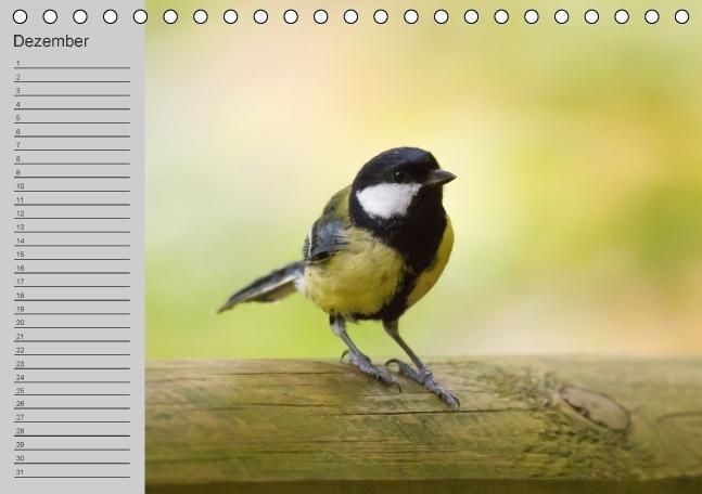 Produktbild: Waldges&auml;nge - Geburtstagskalender (Tischkalender immerw&auml;hrend DIN A5 quer)