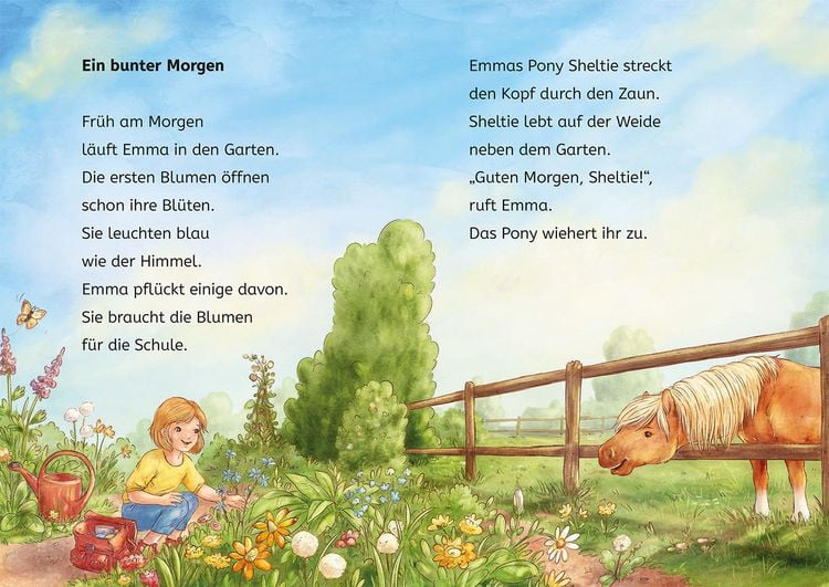 Produktbild: Sheltie, B&uuml;cherhelden 1. Klasse, Sheltie in der Schule