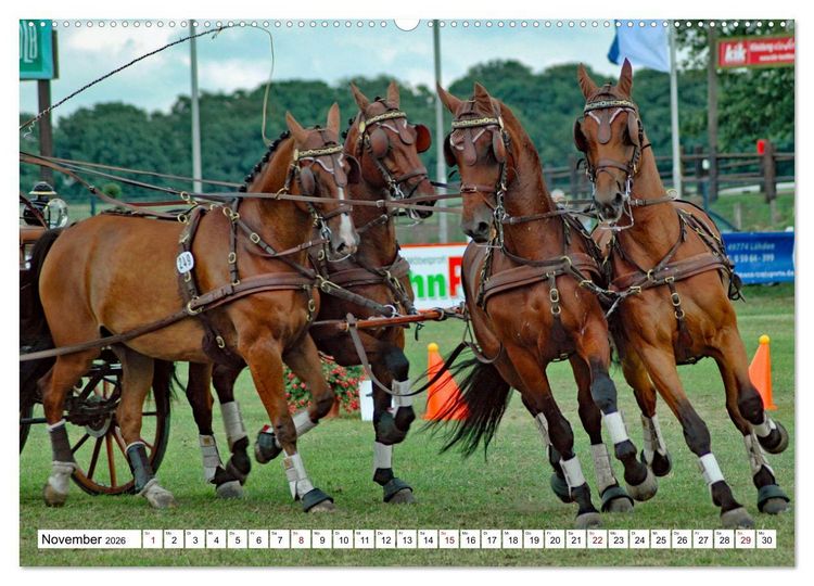 Produktbild: Viersp&auml;nner Herausforderung Fahrsport (Wandkalender 2026 DIN A2 quer), CALVENDO Monatskalender