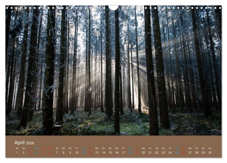 Produktbild: Fasziantion Natur (Wandkalender 2026 DIN A3 quer), CALVENDO Monatskalender