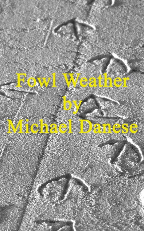 Produktbild: Fowl Weather