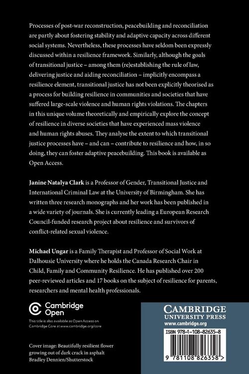 Produktbild: Resilience, Adaptive Peacebuilding and Transitional Justice