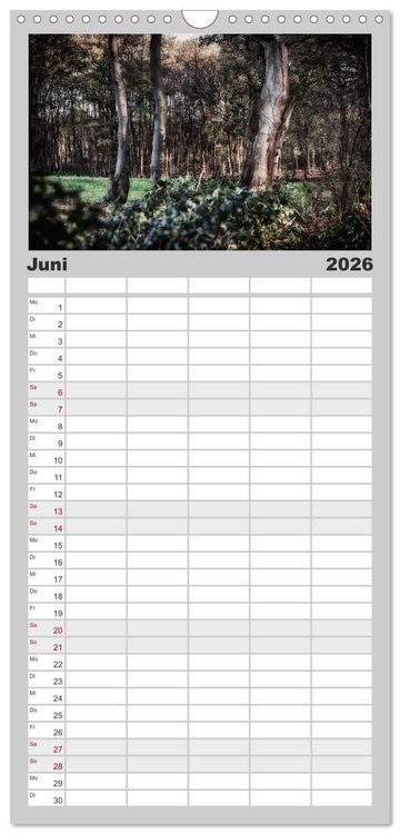 Produktbild: Familienplaner 2026 - Mystische W&auml;lder mit 5 Spalten (Wandkalender, 21 x 45 cm) CALVENDO