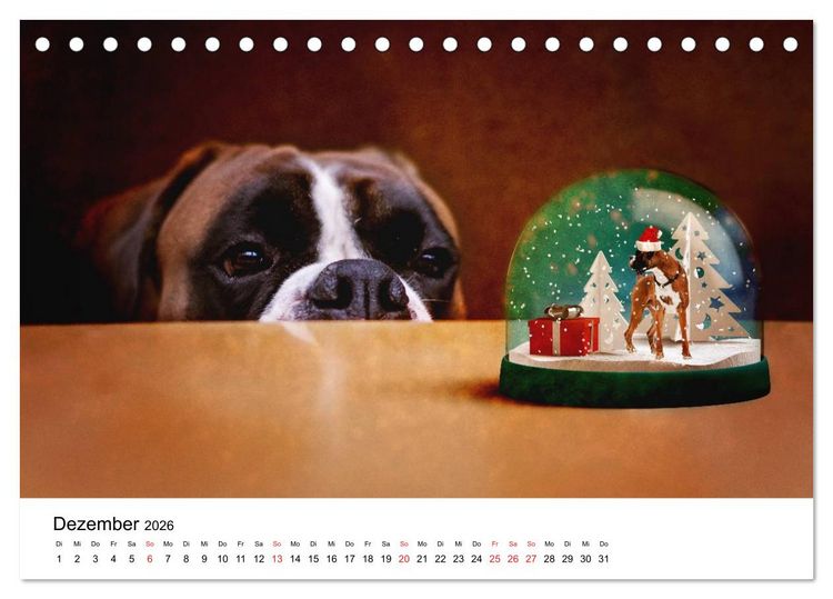 Produktbild: Deutscher Boxer (Tischkalender 2026 DIN A5 quer), CALVENDO Monatskalender