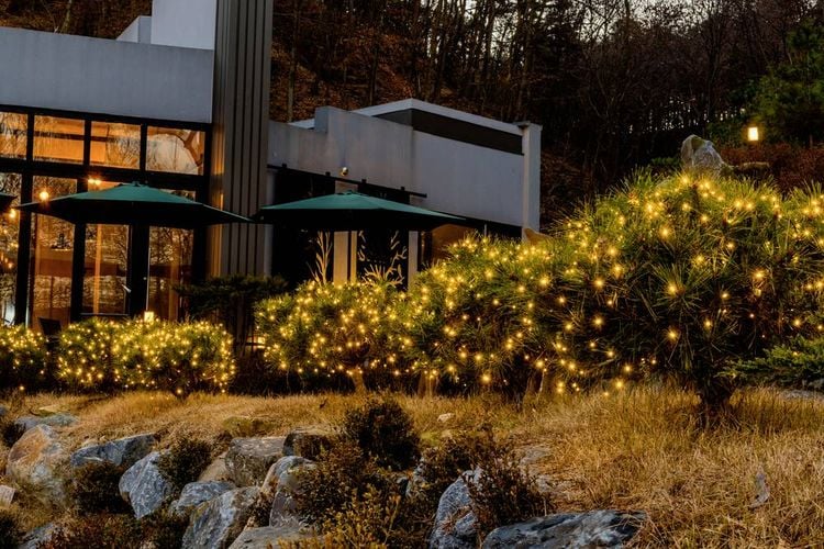 Produktbild: Sygonix SY-5596928 Solar-Lichterkette LED Schwarz, Standard-Gr&uuml;n (seidenmatt)