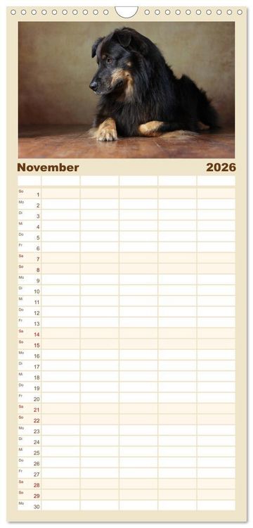 Produktbild: Familienplaner 2026 - Charmante Australian Shepherds mit 5 Spalten (Wandkalender, 21 x 45 cm) CALVENDO