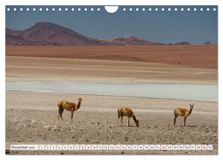Produktbild: Bolivien - Unterwegs im Hochland (Wandkalender 2026 DIN A4 quer), CALVENDO Monatskalender