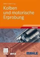 Produktbild: Kolben und motorische Erprobung