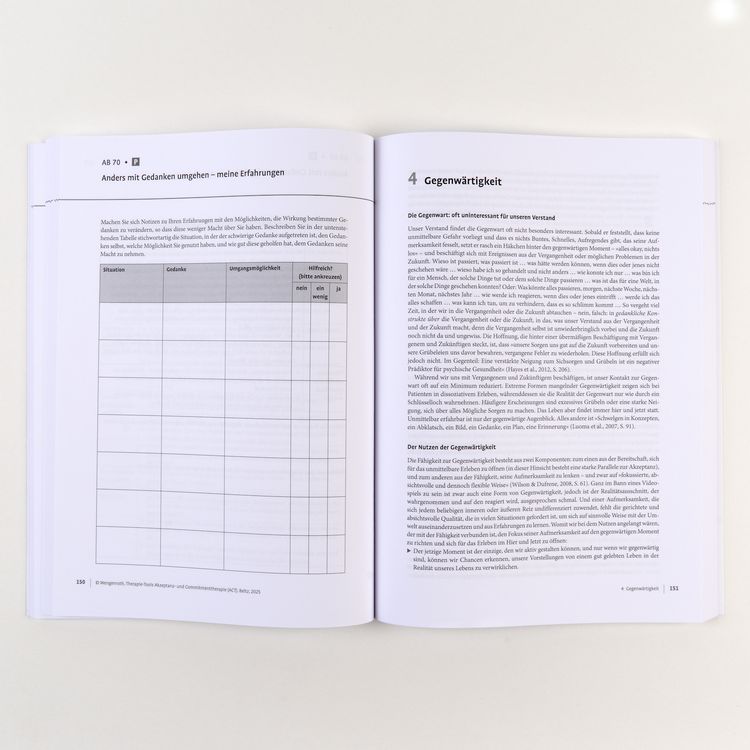 Produktbild: Therapie-Tools Akzeptanz- und Commitmenttherapie (ACT)