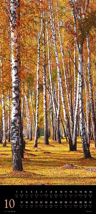 Produktbild: Trees 2024