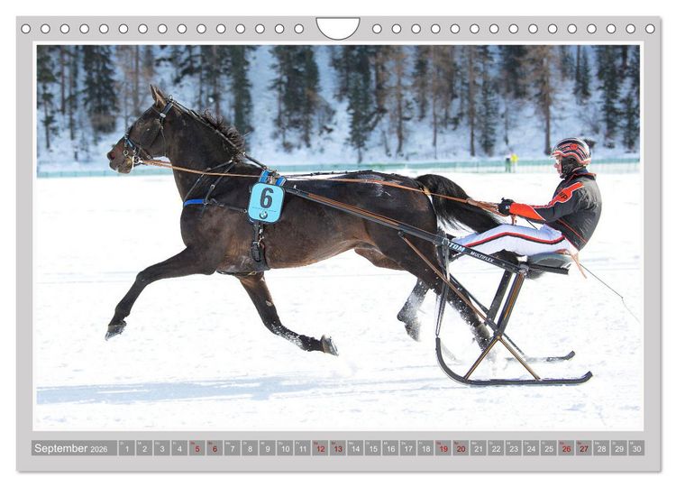 Produktbild: Pferde-Rennen auf Schnee und im Wasser (Wandkalender 2026 DIN A4 quer), CALVENDO Monatskalender