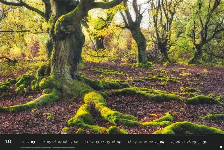 Produktbild: Deutschlands Naturparadiese Kalender 2027 - Edition Alexander von Humboldt Kalender 2027