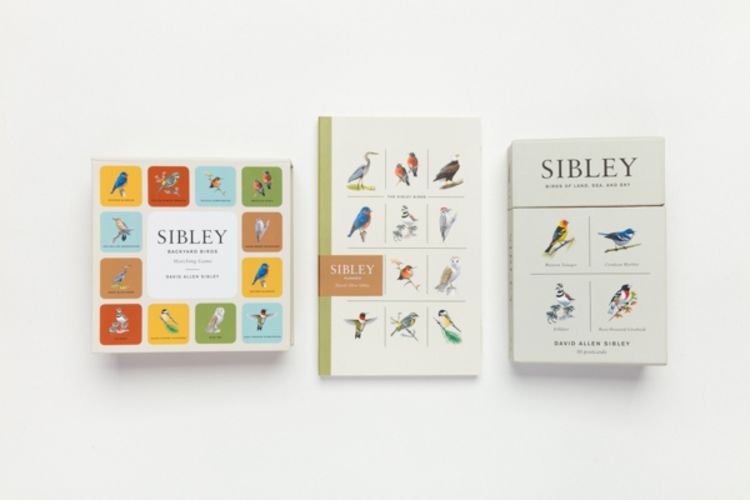 Produktbild: Sibley Birds of Land, Sea, and Sky
