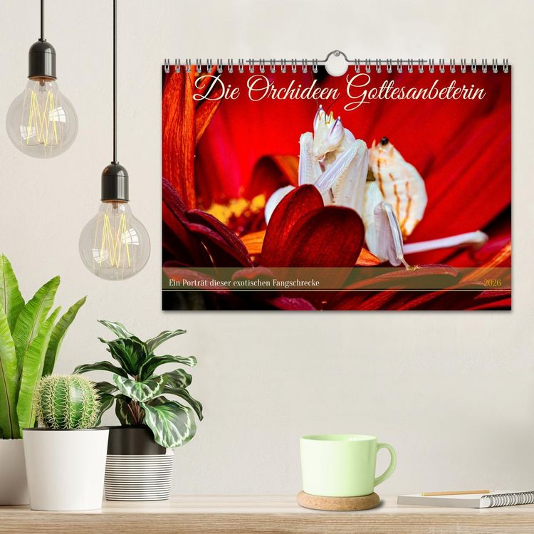Produktbild: Die Orchideen Gottesanbeterin (Wandkalender 2026 DIN A4 quer), CALVENDO Monatskalender