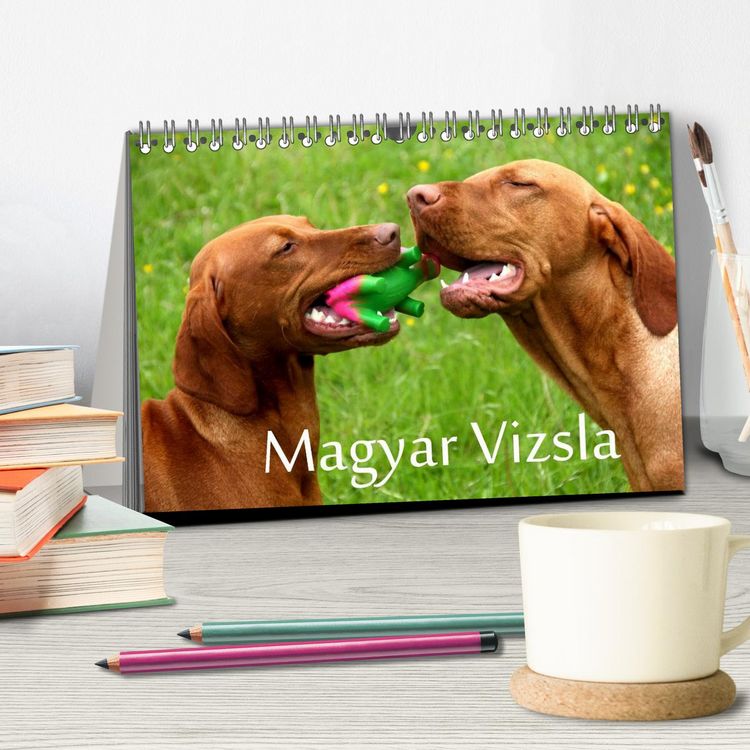 Produktbild: Magyar Vizsla (Tischkalender 2026 DIN A5 quer), CALVENDO Monatskalender