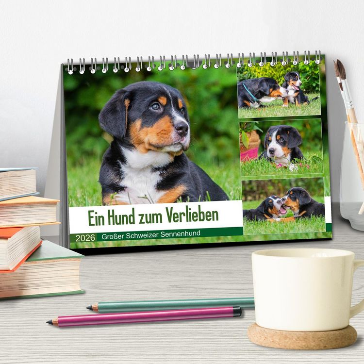 Produktbild: Ein Hund zum Verlieben - Gro&szlig;er Schweizer Sennenhund (Tischkalender 2026 DIN A5 quer), CALVENDO Monatskalender