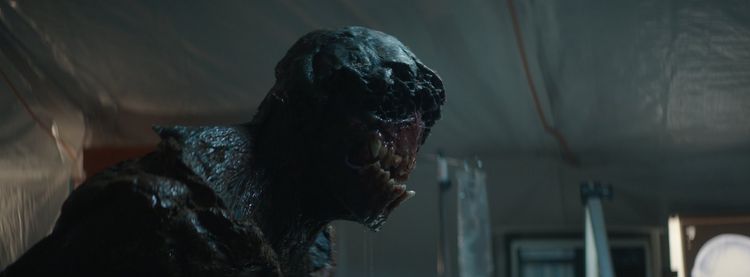 Produktbild: The Lair