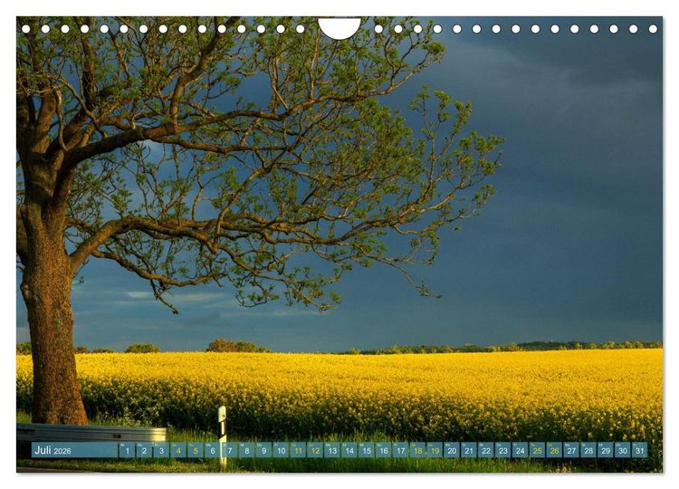 Produktbild: Buschvitz - Geografischer Mittelpunkt der Insel R&uuml;gen (Wandkalender 2026 DIN A4 quer), CALVENDO Monatskalender