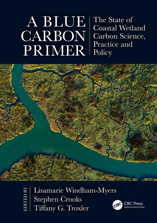 Produktbild: A Blue Carbon Primer
