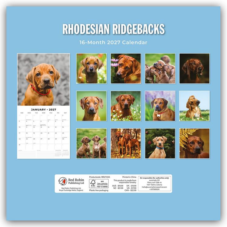 Produktbild: Rhodesian Ridgebacks &ndash; Rhodesian Ridgeback 2027 &ndash; 16-Monatskalender