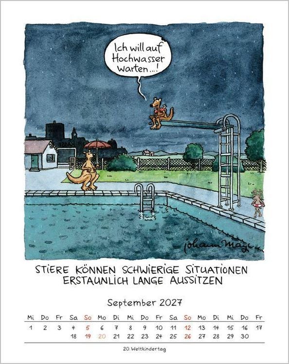 Produktbild: Stier 2027