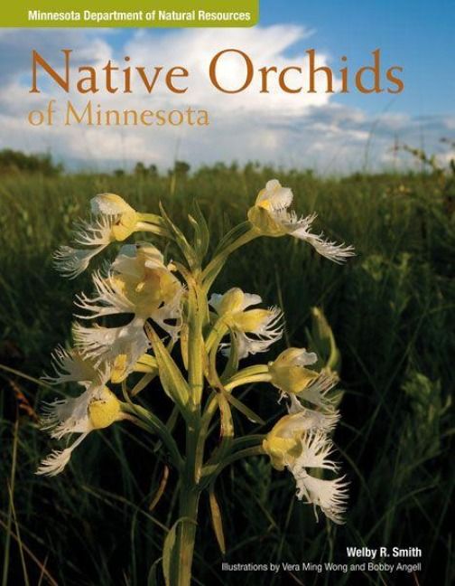 Produktbild: Native Orchids of Minnesota