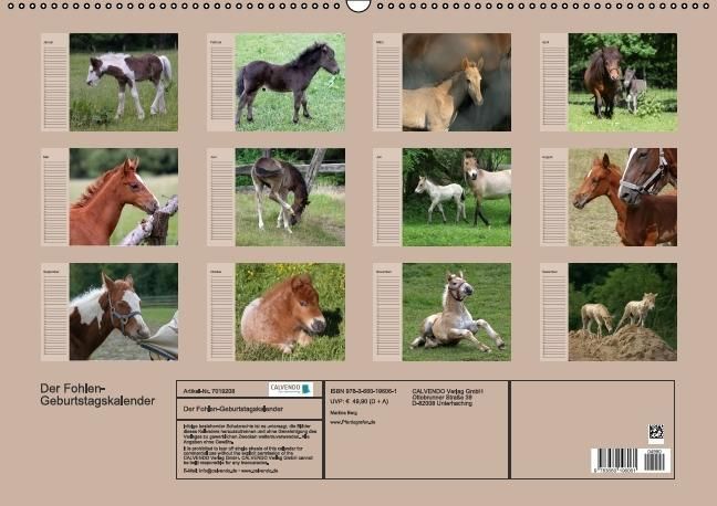 Produktbild: Der Fohlen-Geburtstagskalender (Wandkalender immerw&auml;hrend DIN A2 quer)