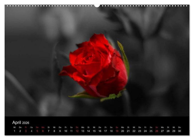 Produktbild: schwarz/wei&szlig; trifft farbe (hochwertiger Premium Wandkalender 2026 DIN A2 quer), Kunstdruck in Hochglanz