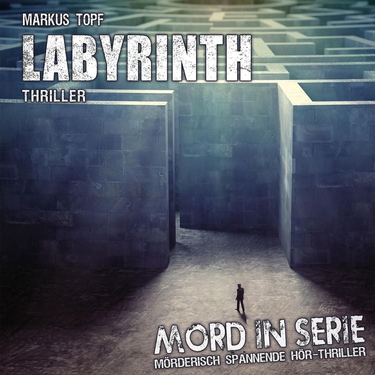 Bild vom Artikel Labyrinth vom Autor Markus Topf