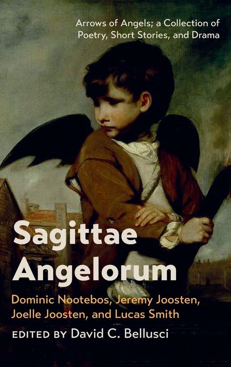 Produktbild: Sagittae Angelorum